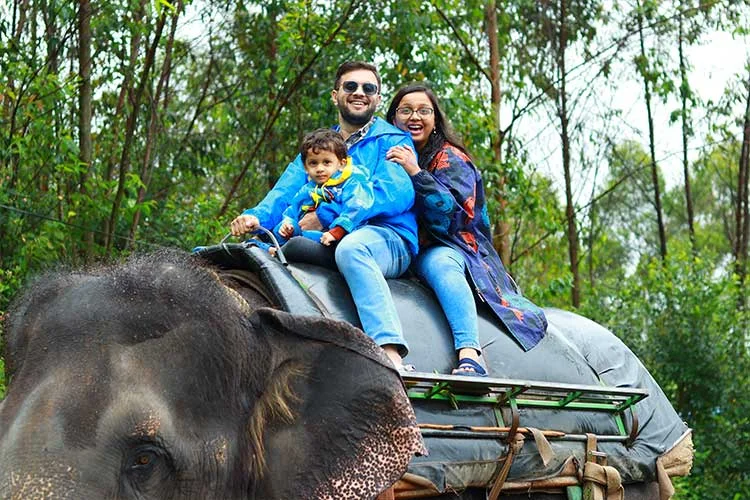 Scenic elephant safari Munnar