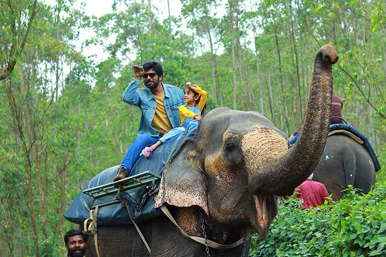 Elephant Bathing 1