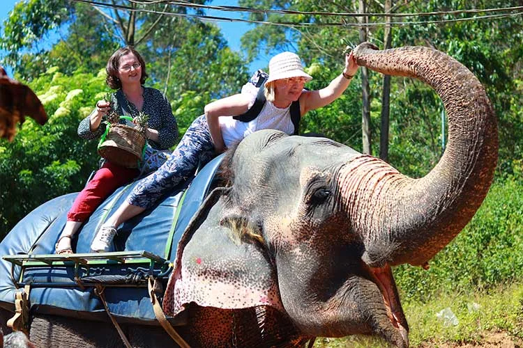 Family ride on elephant back