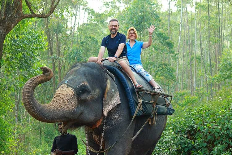 Kerala Forest Sanctuary