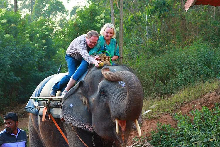 Happy family feeding elephants