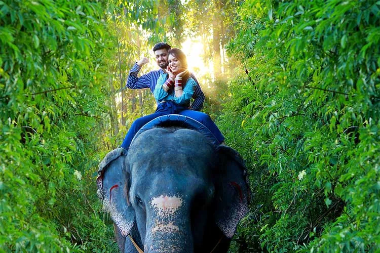 Elephant Bathing 3