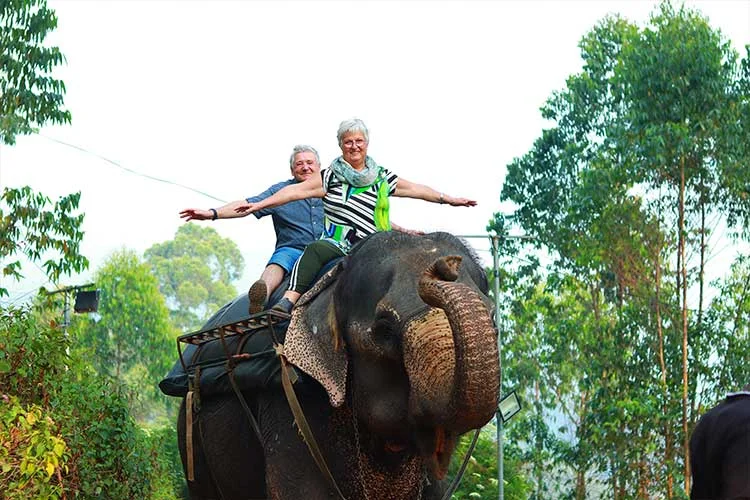 Elephant river bathing frolics splash