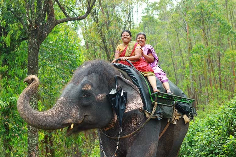 Kerala Forest Sanctuary