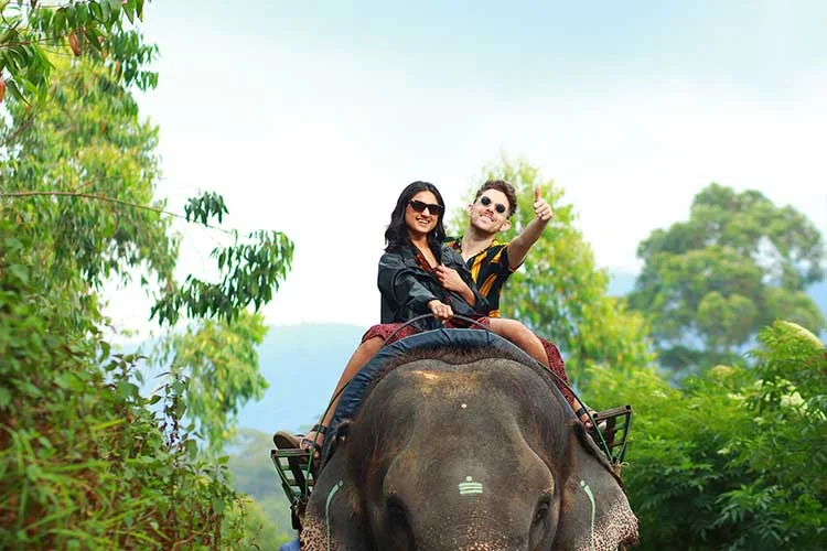 Elephant Park Photography