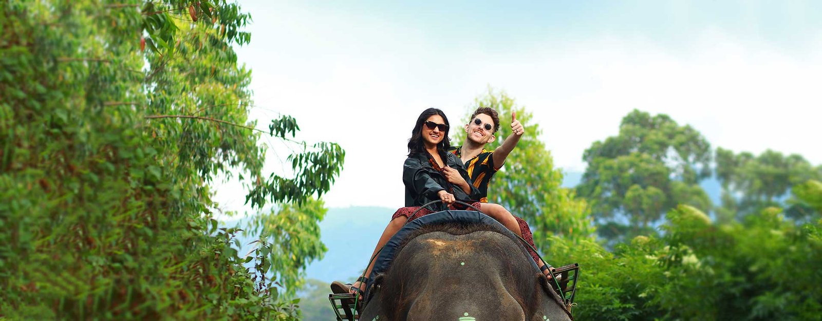 Elephant Riding Munnar