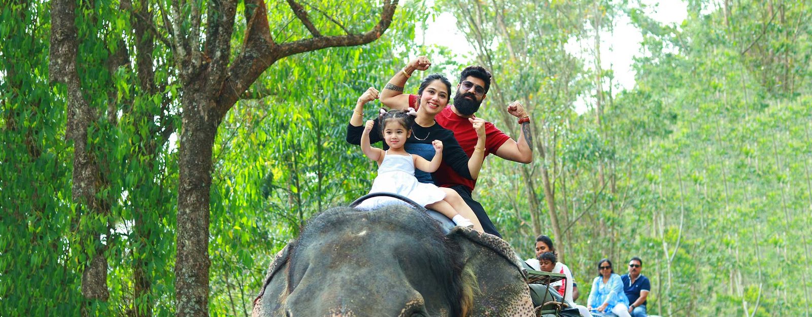 Munnar Tea Plantation Safari